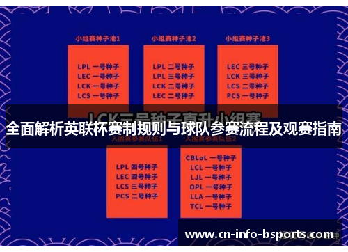 全面解析英联杯赛制规则与球队参赛流程及观赛指南