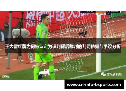 王大雷红牌为何被认定为误判背后裁判的判罚依据与争议分析