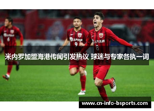 米内罗加盟海港传闻引发热议 球迷与专家各执一词 米内罗加盟海港传闻引发热议 球迷与专家各执一词