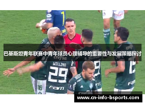巴基斯坦青年联赛中青年球员心理辅导的重要性与发展策略探讨