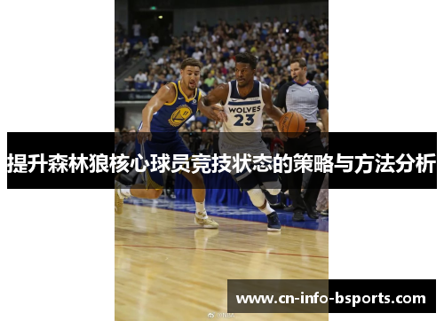 提升森林狼核心球员竞技状态的策略与方法分析