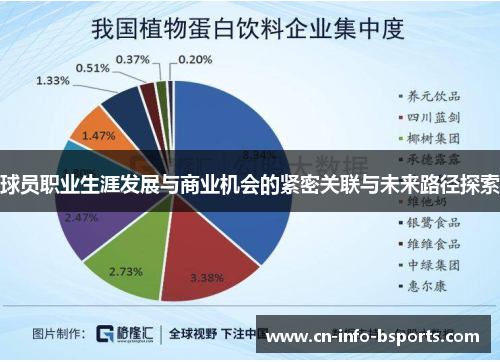 球员职业生涯发展与商业机会的紧密关联与未来路径探索