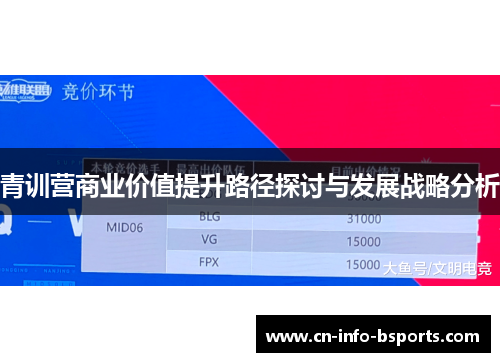 青训营商业价值提升路径探讨与发展战略分析 青训营商业价值提升路径探讨与发展战略分析