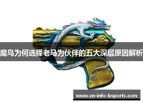 魔鸟为何选择老马为伙伴的五大深层原因解析 魔鸟为何选择老马为伙伴的五大深层原因解析