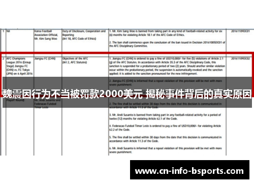 魏震因行为不当被罚款2000美元 揭秘事件背后的真实原因