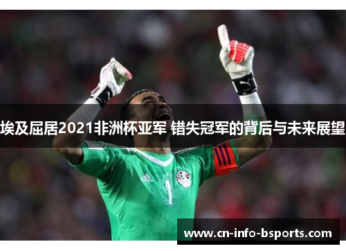 埃及屈居2021非洲杯亚军 错失冠军的背后与未来展望