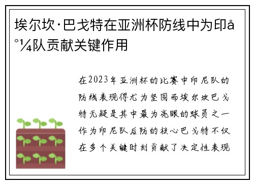 埃尔坎·巴戈特在亚洲杯防线中为印尼队贡献关键作用