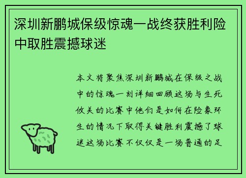 深圳新鹏城保级惊魂一战终获胜利险中取胜震撼球迷
